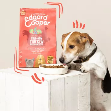 Edgard&Cooper hondenbrokken senior 2.5kg - afbeelding 3
