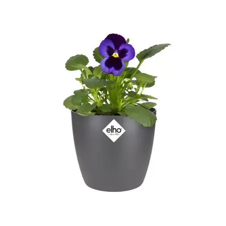 Elho pot brussels rond d10.5cm antraciet - afbeelding 3