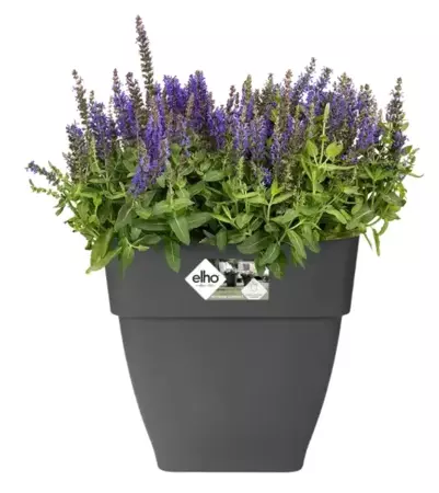 Elho pot vibia campana vierkant 30cm - antraciet - afbeelding 2