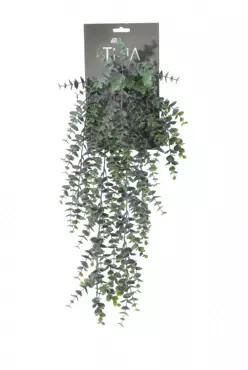 Kunsthangplant Eucalyptus l54cm groen pdr h