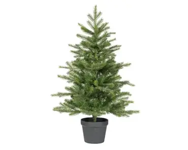 Everlands grandis miniboom pot h90cm groen