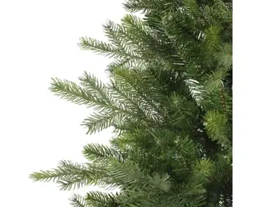 Everlands grandis miniboom pot h90cm groen - afbeelding 2
