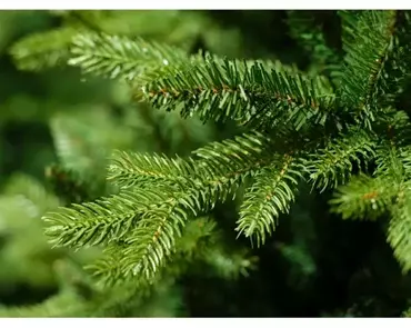 Everlands Kunstkerstboom Allison pine h150cm groen