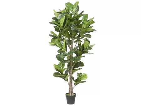 Kunst vioolbladplant 'Ficus lyrata' met pot - h190cm