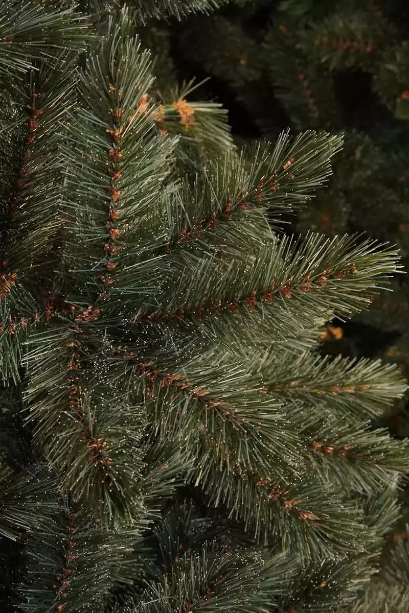Interpersoonlijk verlichten pasta Forest frosted kerstboom H230 x D150 - Top Tuincentrum