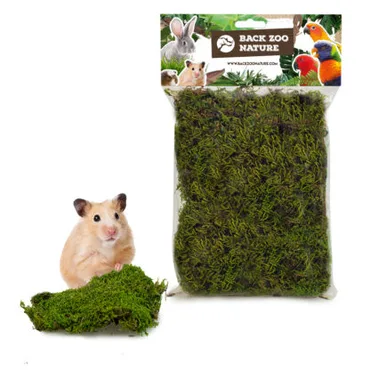 Forest moss 70g - afbeelding 2