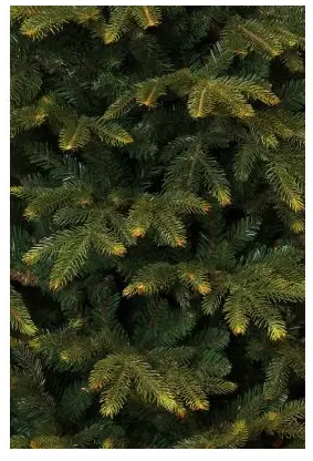 Frasier kerstboom groen - h140 x d102cm