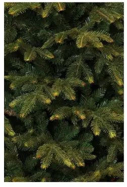 Frasier kerstboom groen - h140 x d102cm