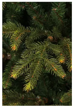 Frasier kerstboom groen - h140 x d102cm