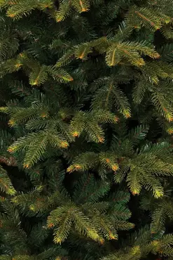Frasier kerstboom groen - h215 x d145cm