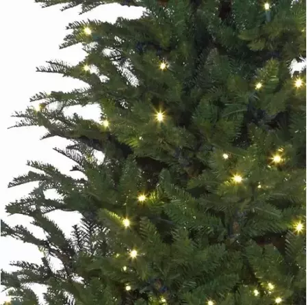 Frasier Kerstboom inclusief led d124 x h185cm