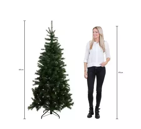 Frasier Kerstboom inclusief led d124 x h185cm