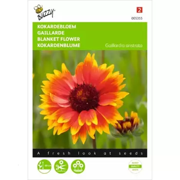 Gaillardia, Kokardebloem - afbeelding 1