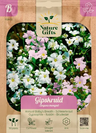 Gipskruid elegans mengsel 60st - afbeelding 1