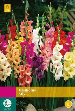 Gladiolus mix 25 stuks