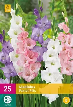 Gladiolus Pastel Mix 25 stuks - afbeelding 2