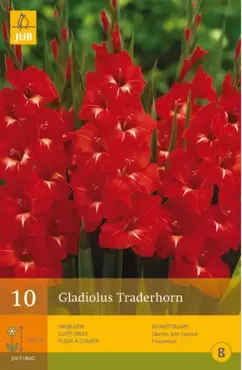Gladiolus traderhorn 10 stuks