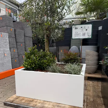 GLM plantenbak Amsterdam met bodem Wit 100x100x40cm