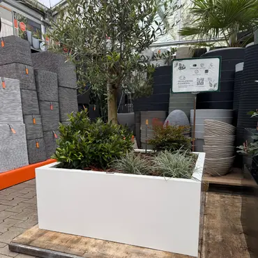 GLM plantenbak Amsterdam met bodem Wit 100x100x40cm