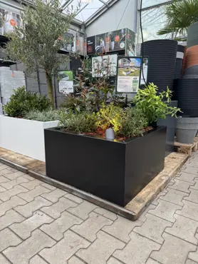 GLM plantenbak Lyon zonder bodem Zwart 75x75x40cm