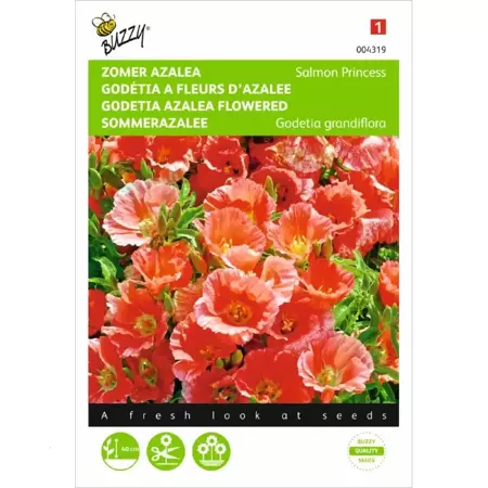 Godetia, Zomer Azalea Salmon Princess - afbeelding 1