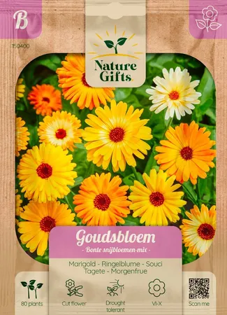 Goudsbloem bonte snijbloemenmix per 80st - afbeelding 1