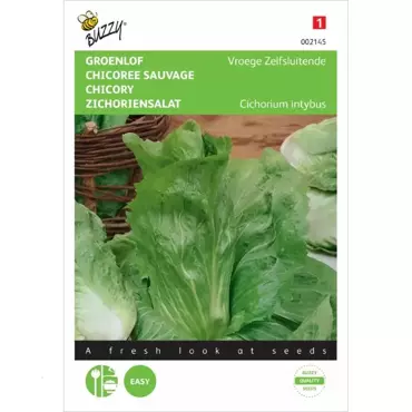 Groenlof Vroege Zelfsluitende - afbeelding 1