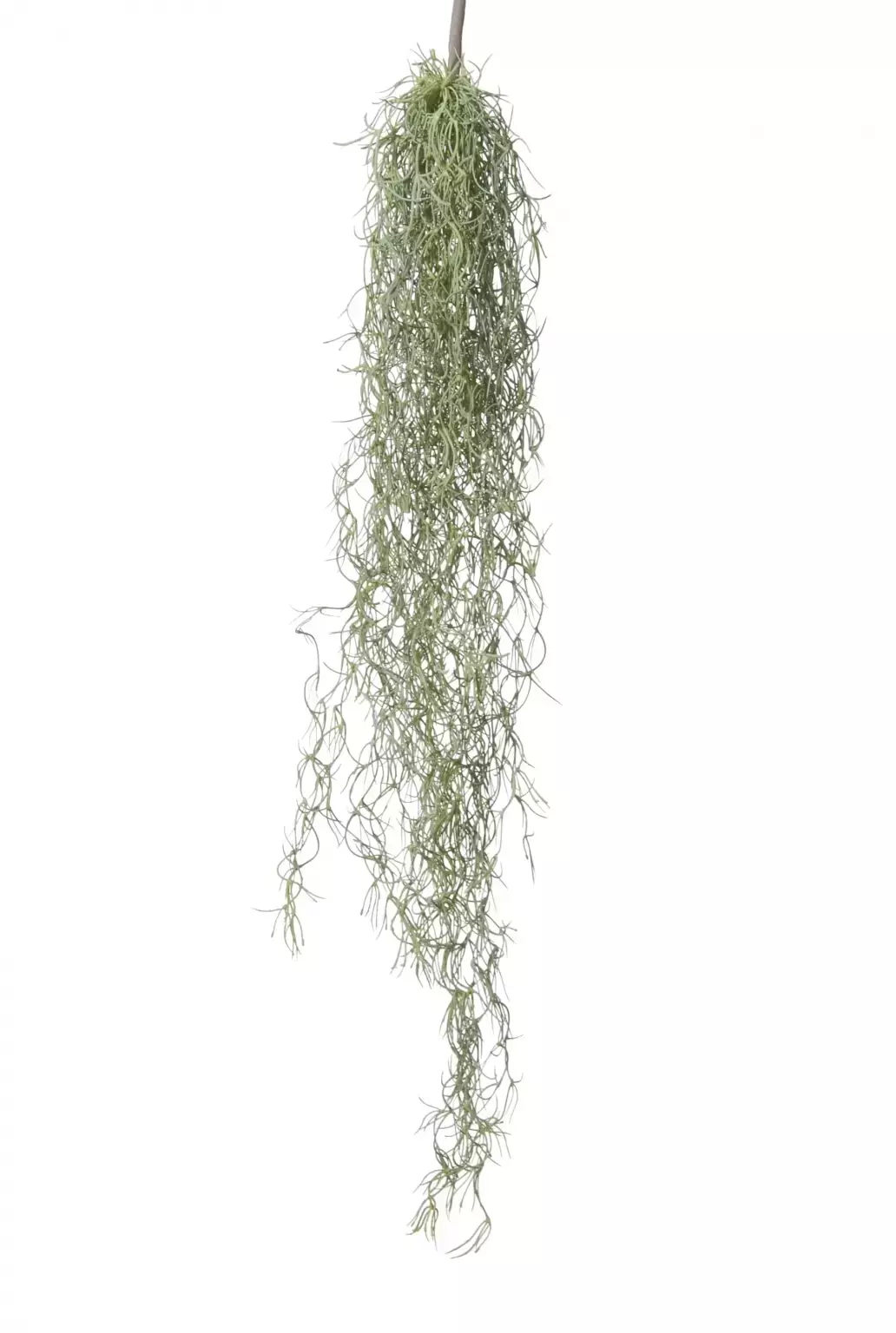 Kunst hangplant tillandsia grs l75cm hder