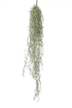 Kunst hangplant tillandsia grs l75cm hder