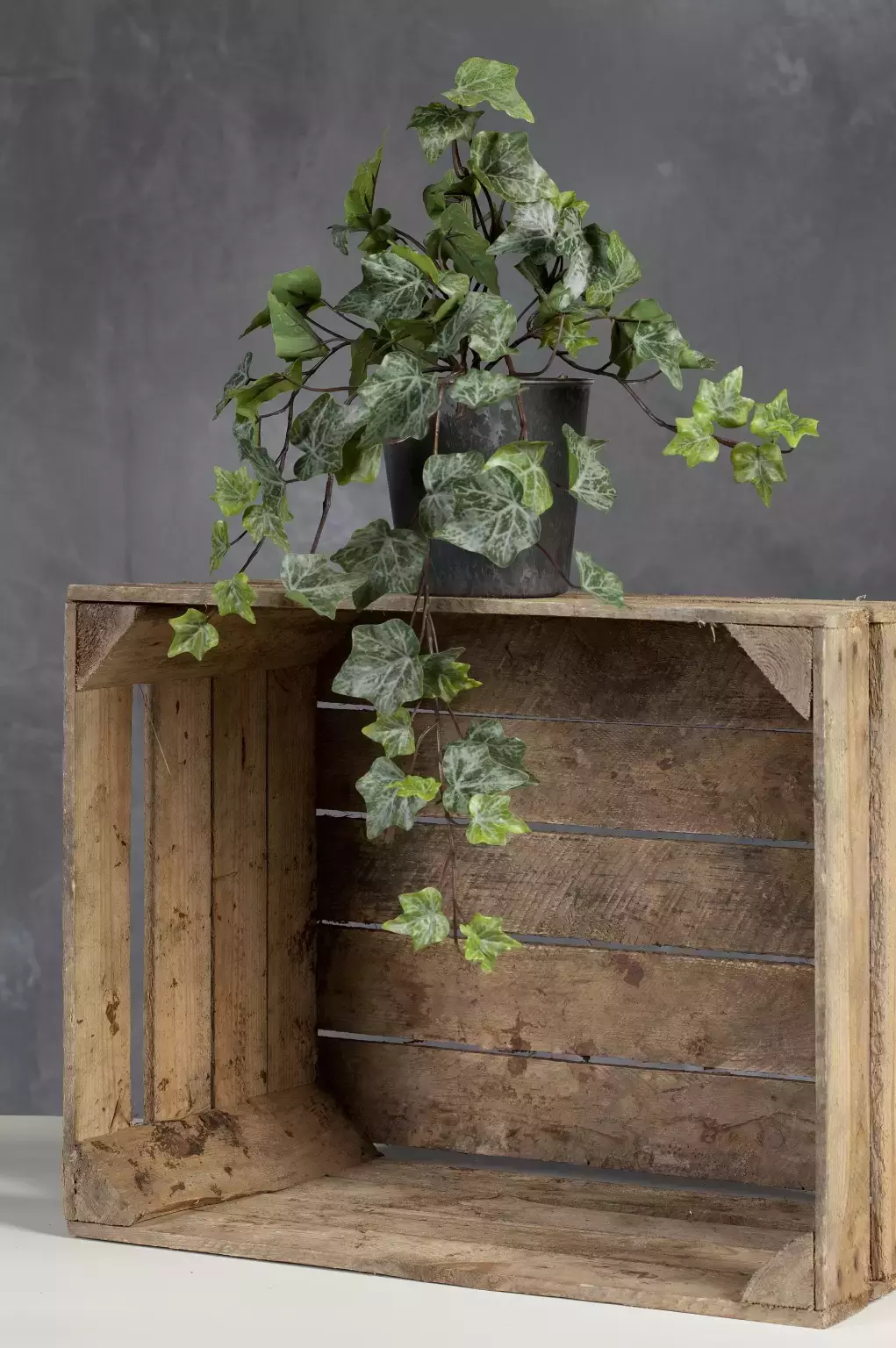 Kunstplant Hedera groen/grijs in pot