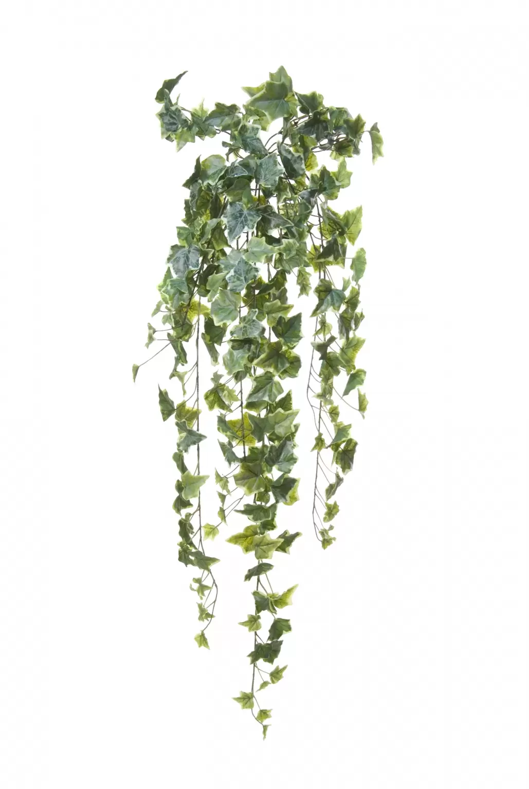 Hedera Kunst Hangplant H71 cm Groen Bont