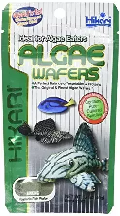 Hikari Algae wafers 40gr - Vissenvoer
