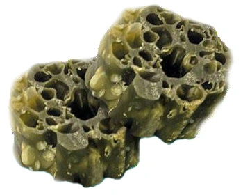 Hondensnack bites dental mint/parsley 100g - afbeelding 2