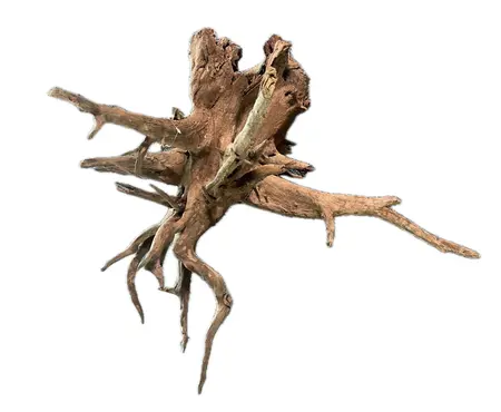 HS AQUA CORBO-ROOT XL 55-80 CM PER STUK