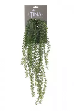Kunsthangplant Huperzia l60cm groen header
