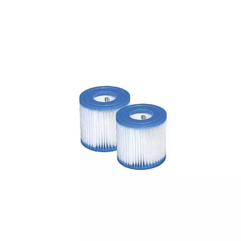 Intex Filter Cartridge Type H Duopak - 2 stuks afbeelding