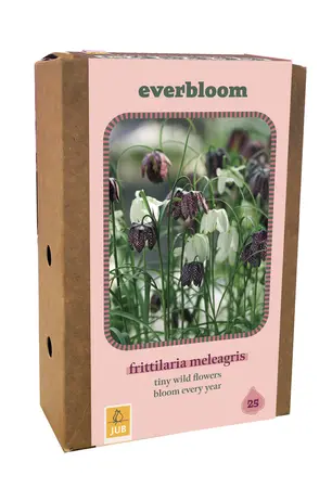Jub Doos fritillaria meleagris 25st