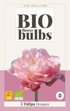 Jub tulipa dreamer bio 5st