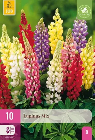 JUB x10 Lupinus Mix