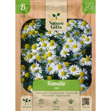 Kamille echte 200st - afbeelding 1