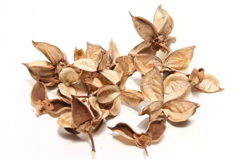 Katoenpeulen 150gr naturel