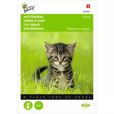 Kattengras Gerst - afbeelding 2
