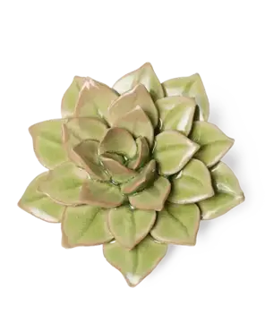 Keramiek Wandbloem Groene Fairy Echeveria