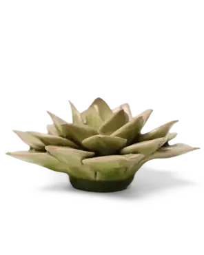 Keramiek Wandbloem Groene Fairy Echeveria - afbeelding 2