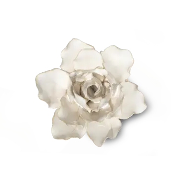 843458165798