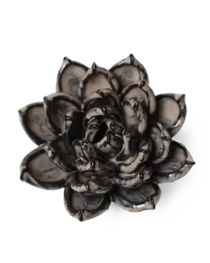 Keramiek Wandbloem Latte Lola Echeveria