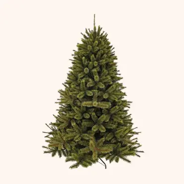 Kerst