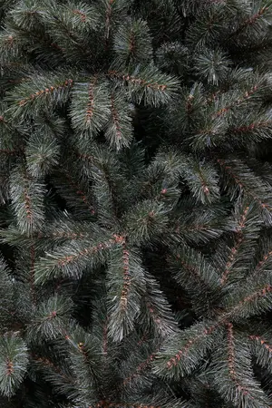 Kerstboom forest frosted d86 x h155cm newgrowth blue - afbeelding 3