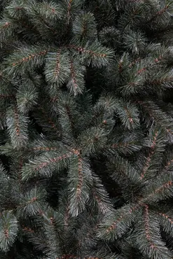 Kerstboom forest frosted d86 x h155cm newgrowth blue - afbeelding 3