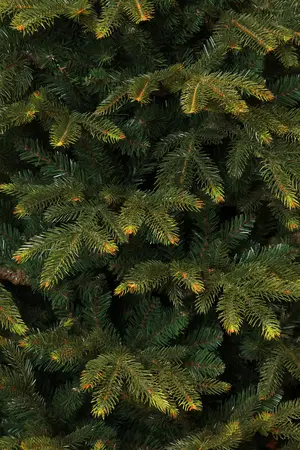 Kerstboom frasier d161 x h260cm groen - afbeelding 3